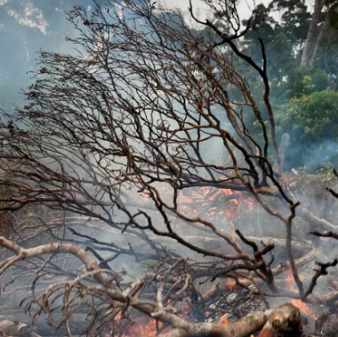 Climate change impacts