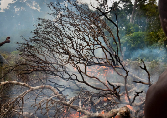 Climate change impacts