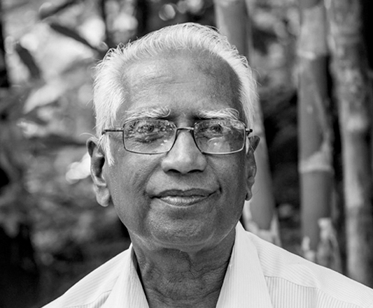 K V Dayal